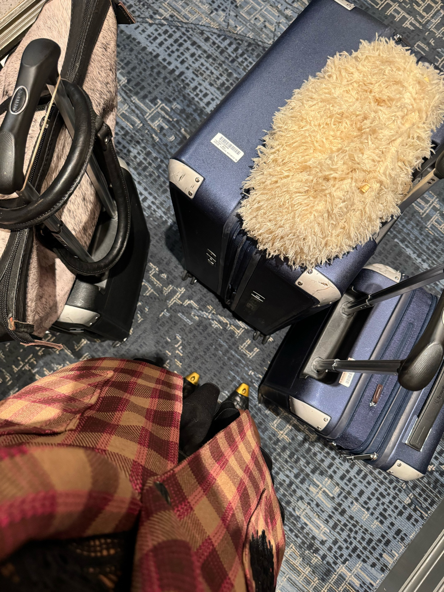 Travel Pro luggage has overstood the assignment! This luggage has literally been around the world and the durability is on 10!

#LTKTravel #LTKNYFW #LTKOver40