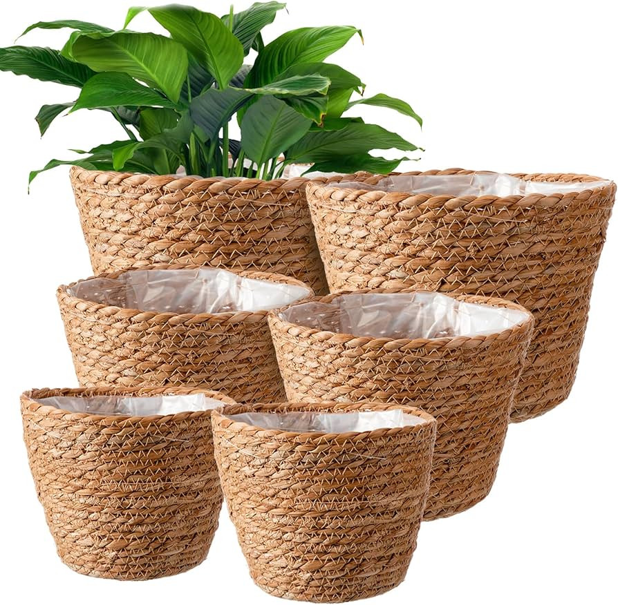 Set of 6 Seagrass Planter Basket Hand Woven Plant Flower Pots Cover with Plastic Liners Seagrass ... | Amazon (US)