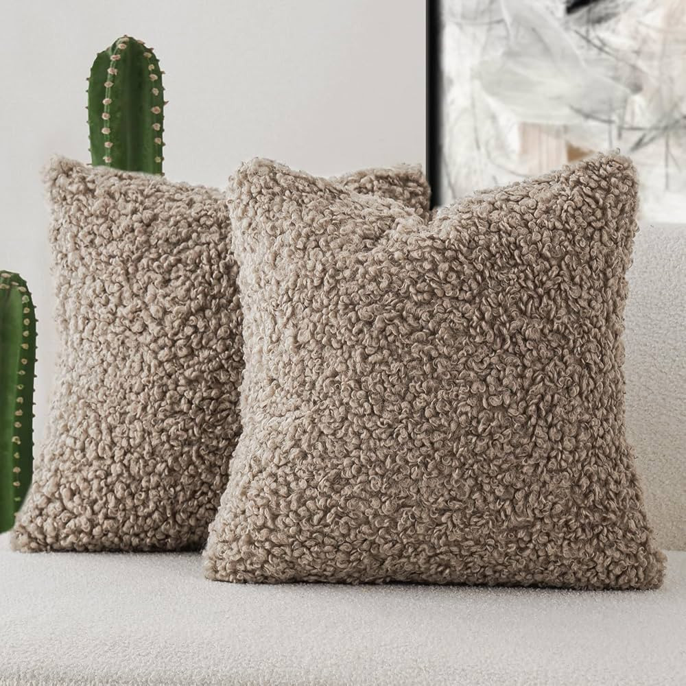 Foindtower 2 Pieces Teddy Faux Fur Throw Pillow Cover Decorative Sherpa Pillow Fuzzy Sheepskin Ac... | Amazon (US)