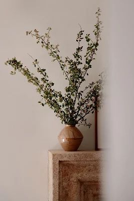 Amber Lewis for Anthropologie Vase | Anthropologie (US)