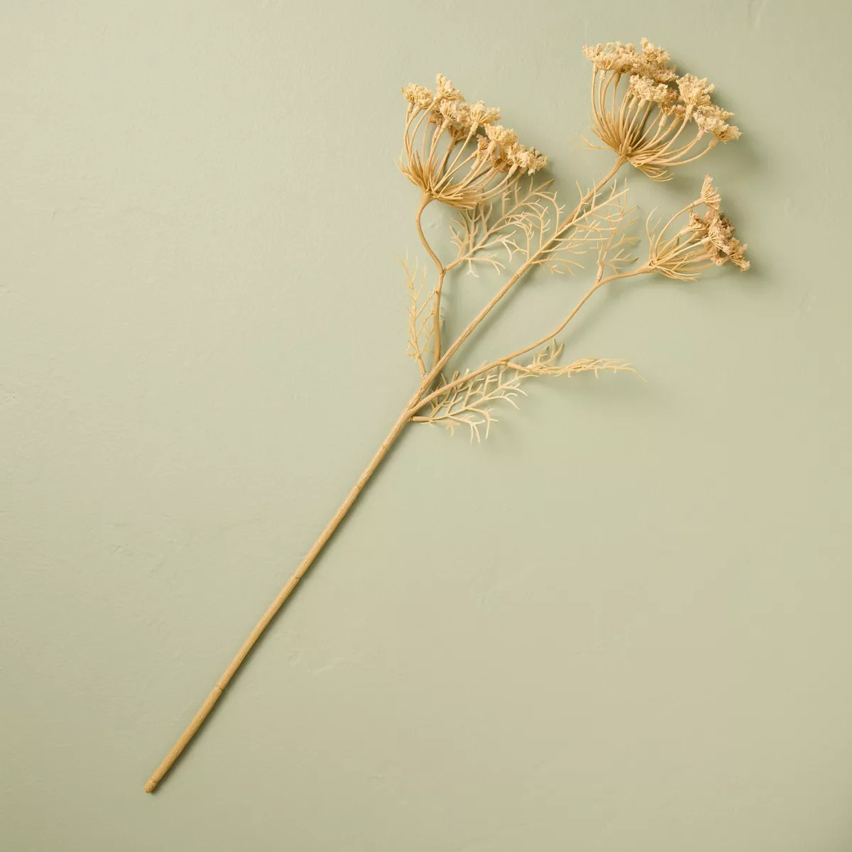 25" Queen Anne's Lace Artificial Stem - Hearth & Hand™ with Magnolia | Target