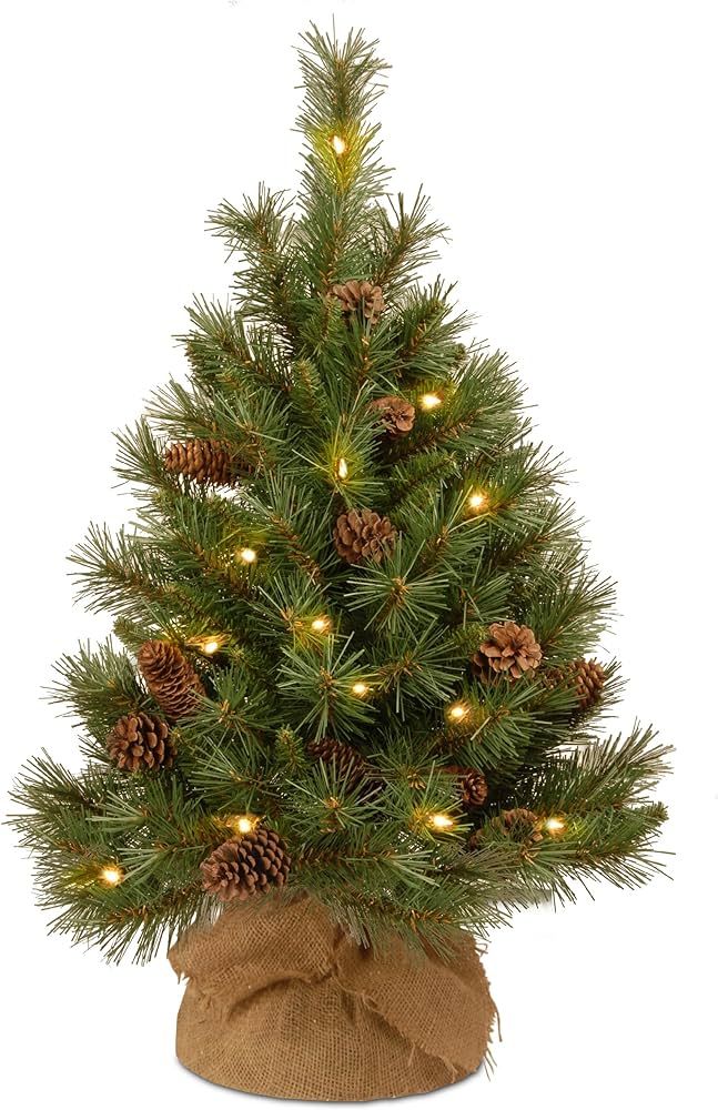 National Tree Company Pre-Lit Artificial Christmas Tree, Green, Pine Cone, White LED Lights, Incl... | Amazon (US)