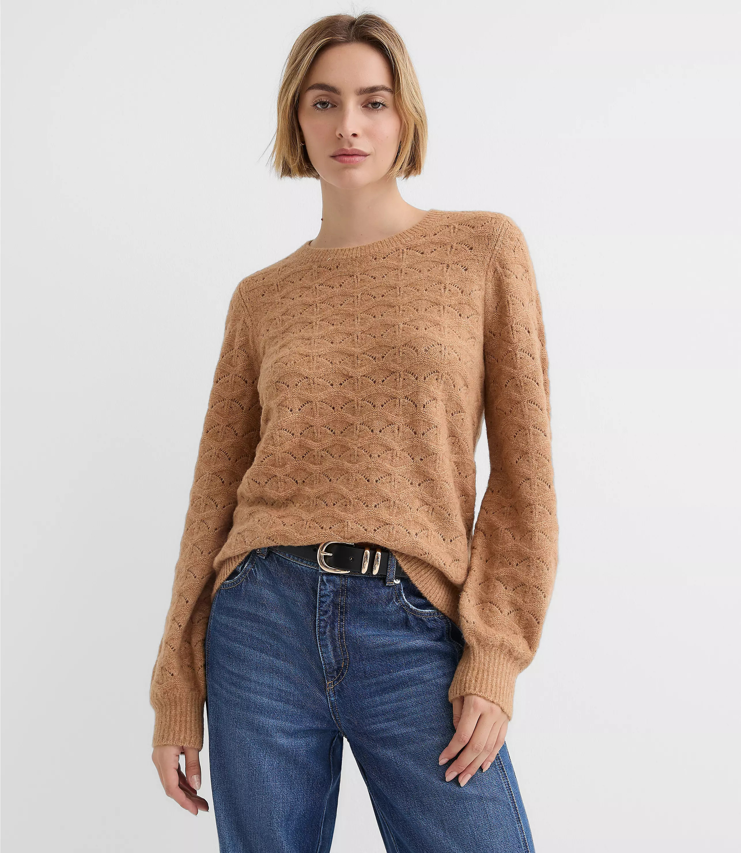 Fuzzy Pointelle Blouson Sweater | LOFT