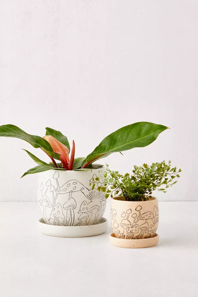 Mushroom Etched Planter And Tray | Urban Outfitters (US and RoW)