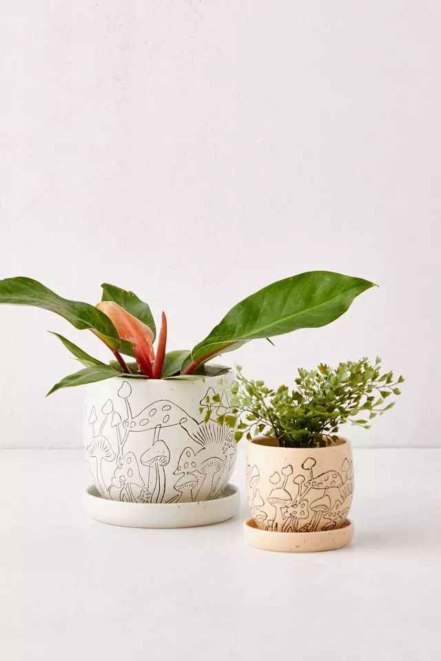 Mushroom Etched Planter And Tray | Urban Outfitters (US and RoW)