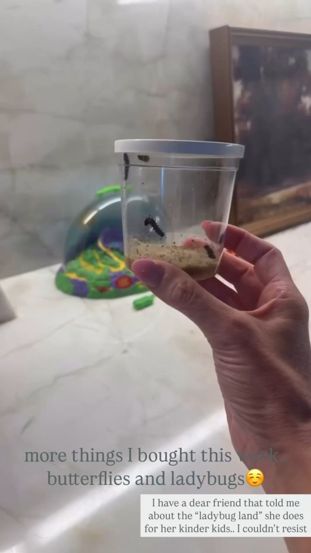 more things I bought this week.. butterflies and ladybugs☺️ I have a dear friend that told me about the “ladybug land” she does for her kinder kids.. I couldn’t resist