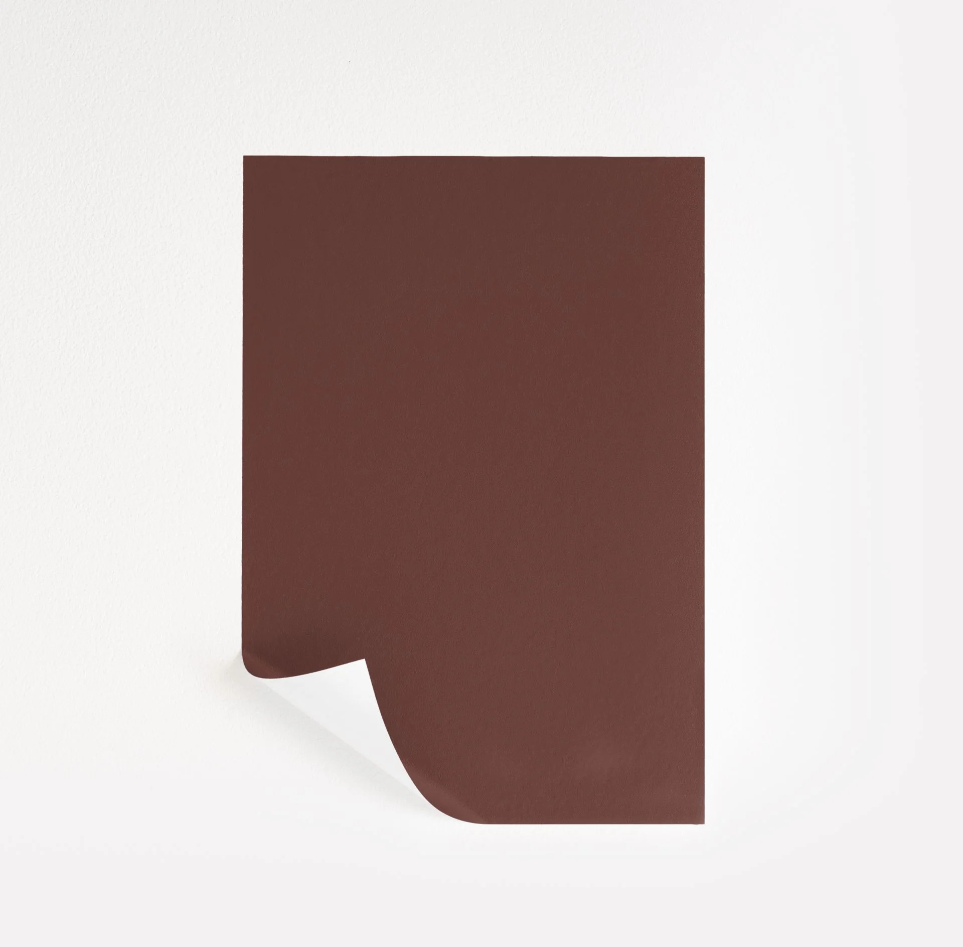 Carriage Door Paint Sample by Sherwin-Williams (7594) | Peel & Stick Paint Sample | Samplize