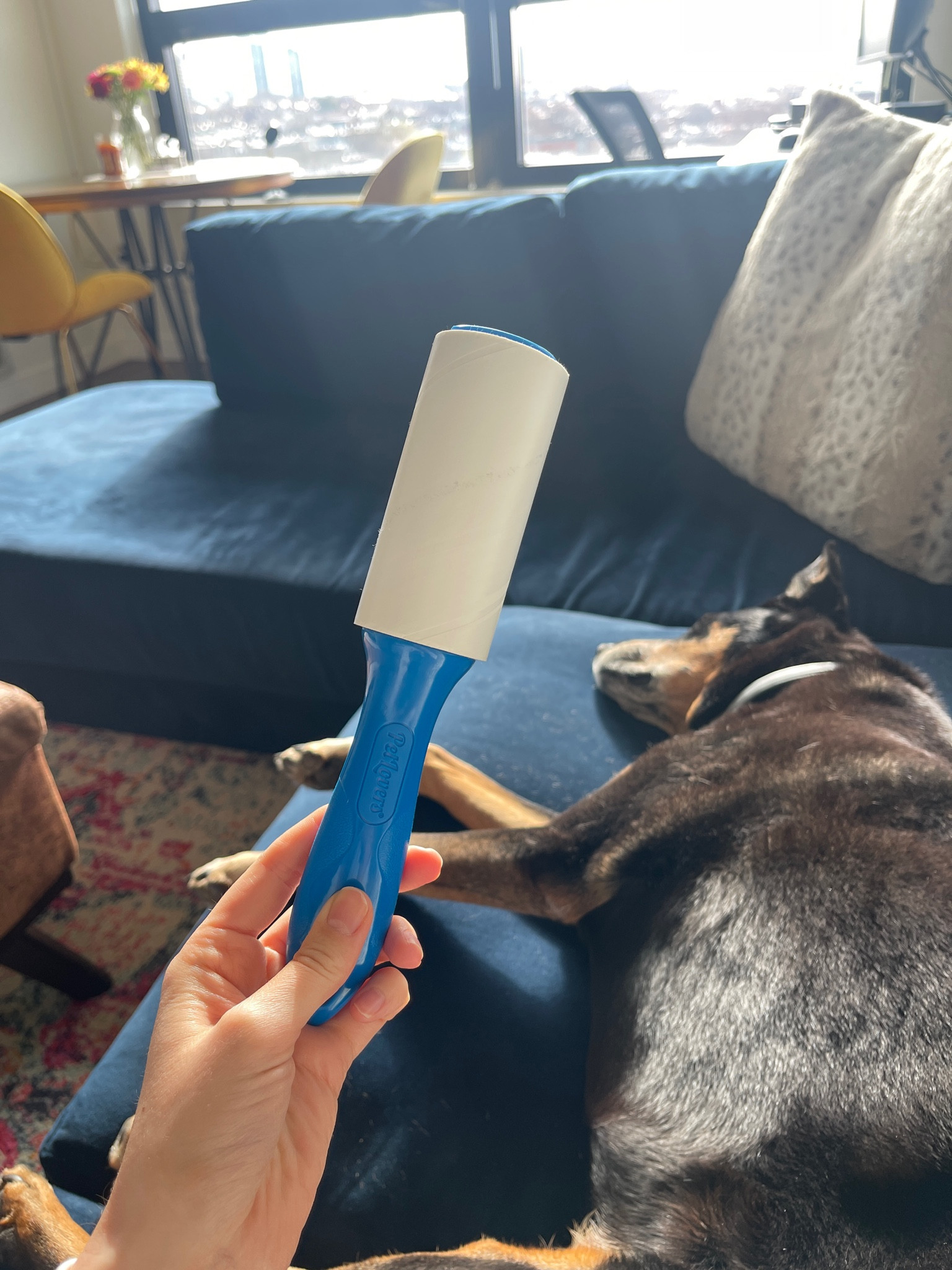 the BEST lint roller for dog hair. 10000/10