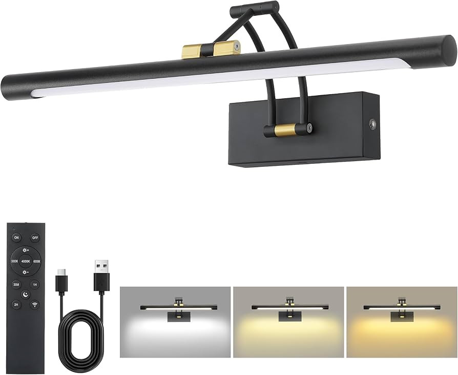 16“ Picture Lights for Wall, 8000mAh Rechargeable Wireless Picture Light with Remote, Dimmable ... | Amazon (US)