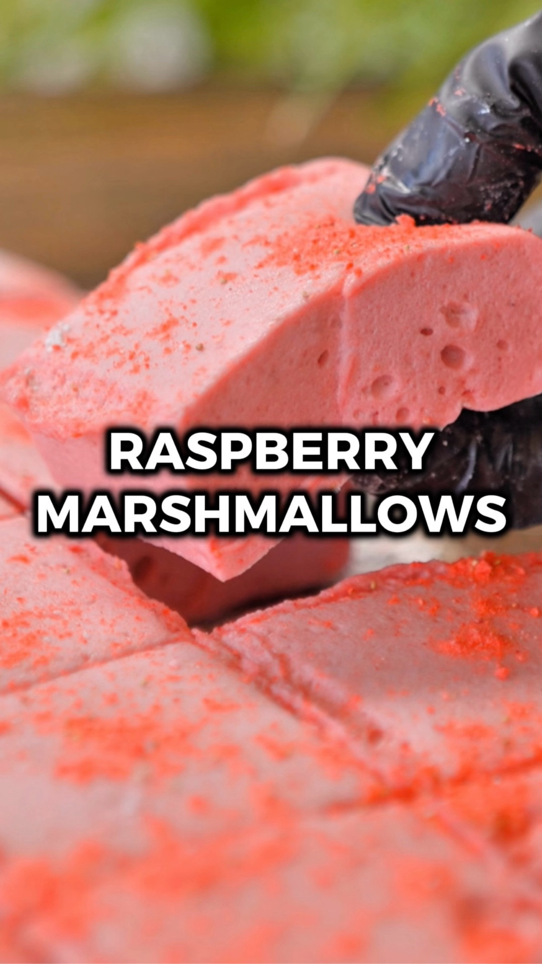 These raspberry marshmallows are super easy, and have the perfect balance of tangy raspberry and sweet fluffy goodness! 😋

For some reason I had never stopped to think about how marshmallows were made. But when I learned that it was this easy AND you can flavor them with real fruit, I had to try it out!

… And they were delicious! I’ll have to figure out what to pair these with, but they’re super tasty on their own. 

Would you try it? Let me know in the comments what you think if you do! 🙌

INGREDIENTS

SUGAR SYRUP
2 cups granulated sugar
1/2 cup honey
1/2 cup water
1/2 tsp salt

RASPBERRY GELATIN
2 cups frozen raspberries (thawed)
1/4 cup freeze dried strawberries
4 packets gelatin
1/4 cup water
1 tsp vanilla extract
powdered sugar

INSTRUCTIONS
1️⃣ Thaw the frozen raspberries, then blend them until smooth. Pour through a fine mesh sieve into a medium mixing bowl to remove as many seeds as possible.
2️⃣ Add the freeze dried strawberries to a food processor and grind to a fine powder.
3️⃣ Add the freeze dried strawberries, 1/4 cup water, and vanilla extract to the puree and whisk to combine. Then, add the gelatin and whisk to combine again. Set aside to solidify.
4️⃣ In a medium pot over medium heat, add the sugar, honey, 1/2 cup water, and salt. Use a silicone spatula to stir constantly. Once the mixture bubbles up, Pour it into a stand mixer. Let it cool for a minute, then add the solidified puree. Beat the mixture until it fluffs up and forms stiff peaks. I used a hand mixer, but it takes like 10 minutes so I highly recommend a stand mixer unless you have arms of steel.
5️⃣ Dab a paper towel in vegetable oil and lightly coat the inside of a 9x13 baking pan. Pour in the marshmallow mixture and smooth it out with a silicone spatula.
6️⃣ Cover with tin foil and let it sit at room temp overnight. 
7️⃣ The next day, spread a good amount of powdered sugar on a large cutting board, lift the marshmallow out of the pan, and lay it down on the sugar. Completely coat it. Grind more freeze dried strawberries to sprinkle on top. 
8️⃣ Cut into pieces and enjoy!

#LTKfoodie #LTKHome