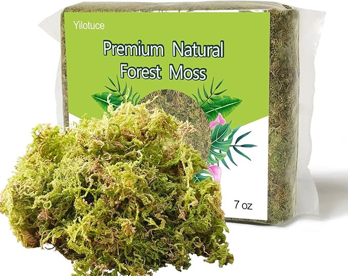 Yilotuce 7 oz Natural Orchid Moss for Potted Plants, Nice Soilless Potting Soil for Seedling and ... | Amazon (CA)