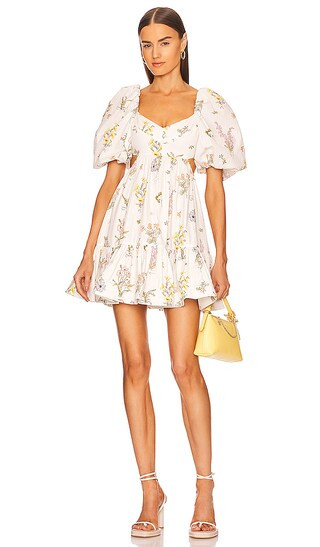 Puff Sleeve Mini Dress | Revolve Clothing (Global)