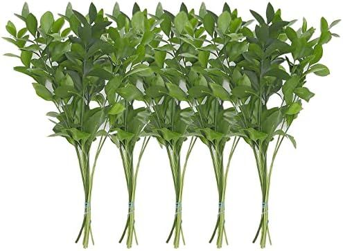 Rumhora Greens | (1) One Bunch of Fresh and Natural Israeli Ruscus | Pack of 10 Stems in Each Bun... | Amazon (US)