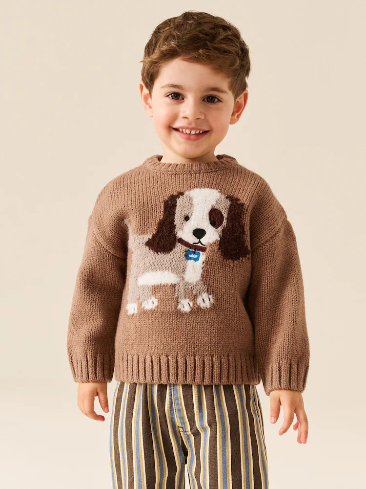 Chocolate Brown Dog Character Knitted Crew Neck Jumper (3mths-7yrs) | Next US