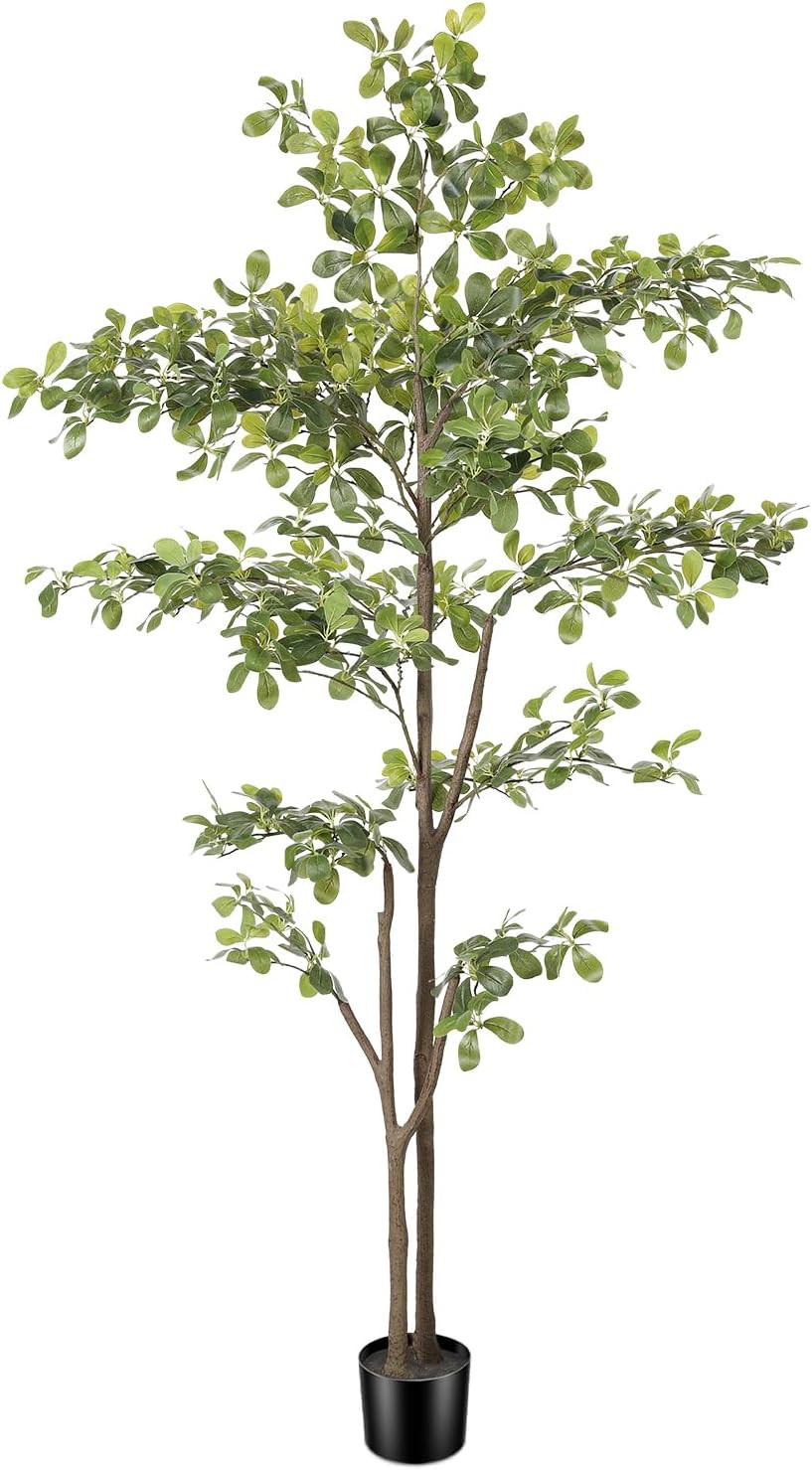 6ft Faux Black Olive Tree, Artificial Olive Trees with Natural Trunk and Realistic Leaves, Faux O... | Amazon (US)