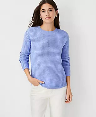 Textured Crew Neck Sweater | Ann Taylor (US)
