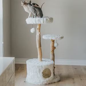 Mau Lifestyle Alba 43-in Modern Wooden Cat Tree & Condo | Chewy.com