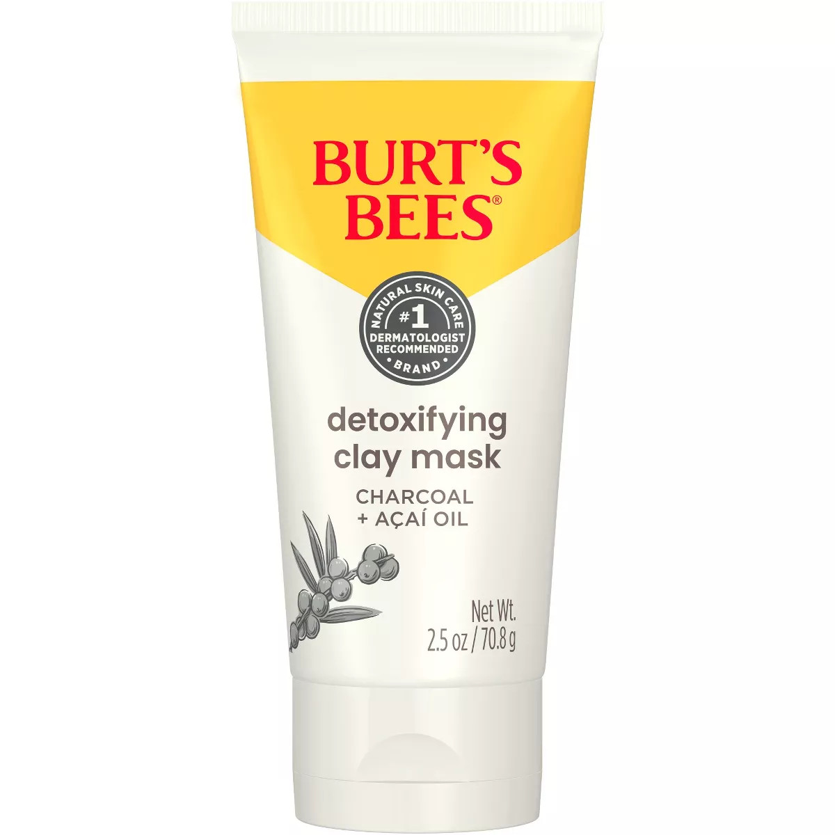 Burt's Bees Detoxifying Clay Face Mask - 2.5oz | Target