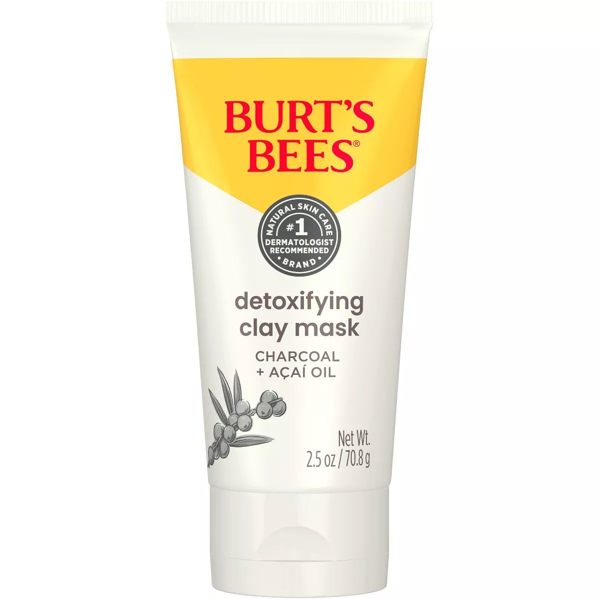 Burt's Bees Detoxifying Clay Face Mask - 2.5oz | Target