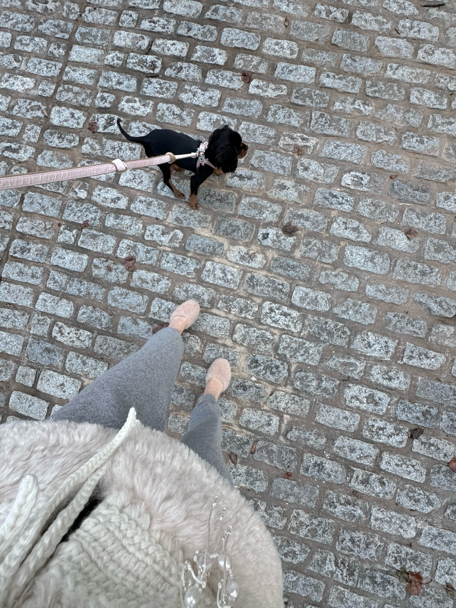 Perfect fall sweater, 25% off! 