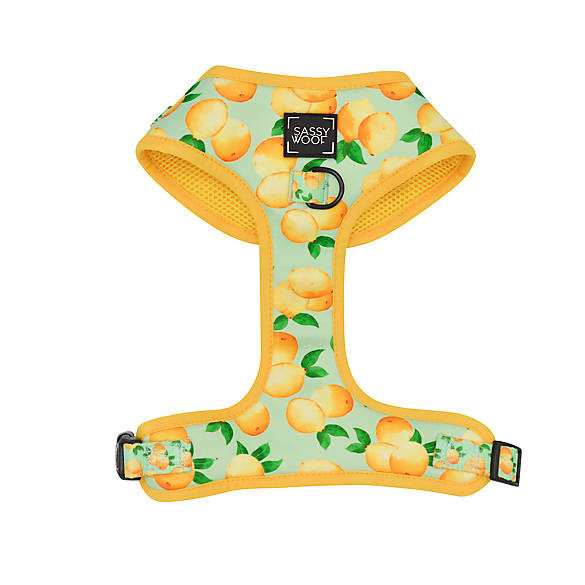 Sassy Woof Main Squeeze Lemon Print Dog Harness | PetSmart