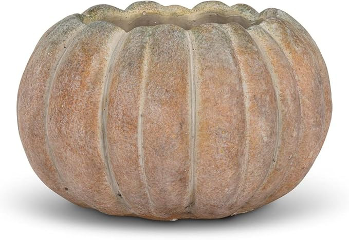 Abbott Collection 27-PUMPKIN-220-LG Large Low Cement Pumpkin Indoor and Outdoor Planter Pot | Amazon (US)