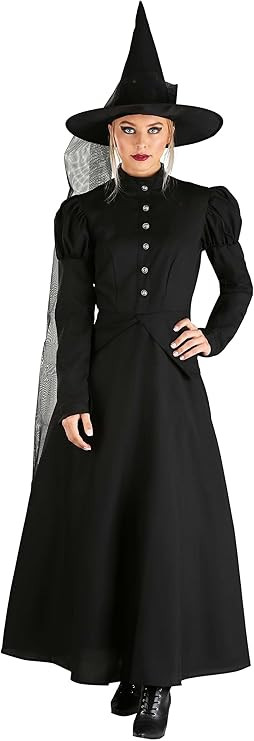 Fun Costumes Women's Deluxe Wicked Witch Costume | Amazon (US)