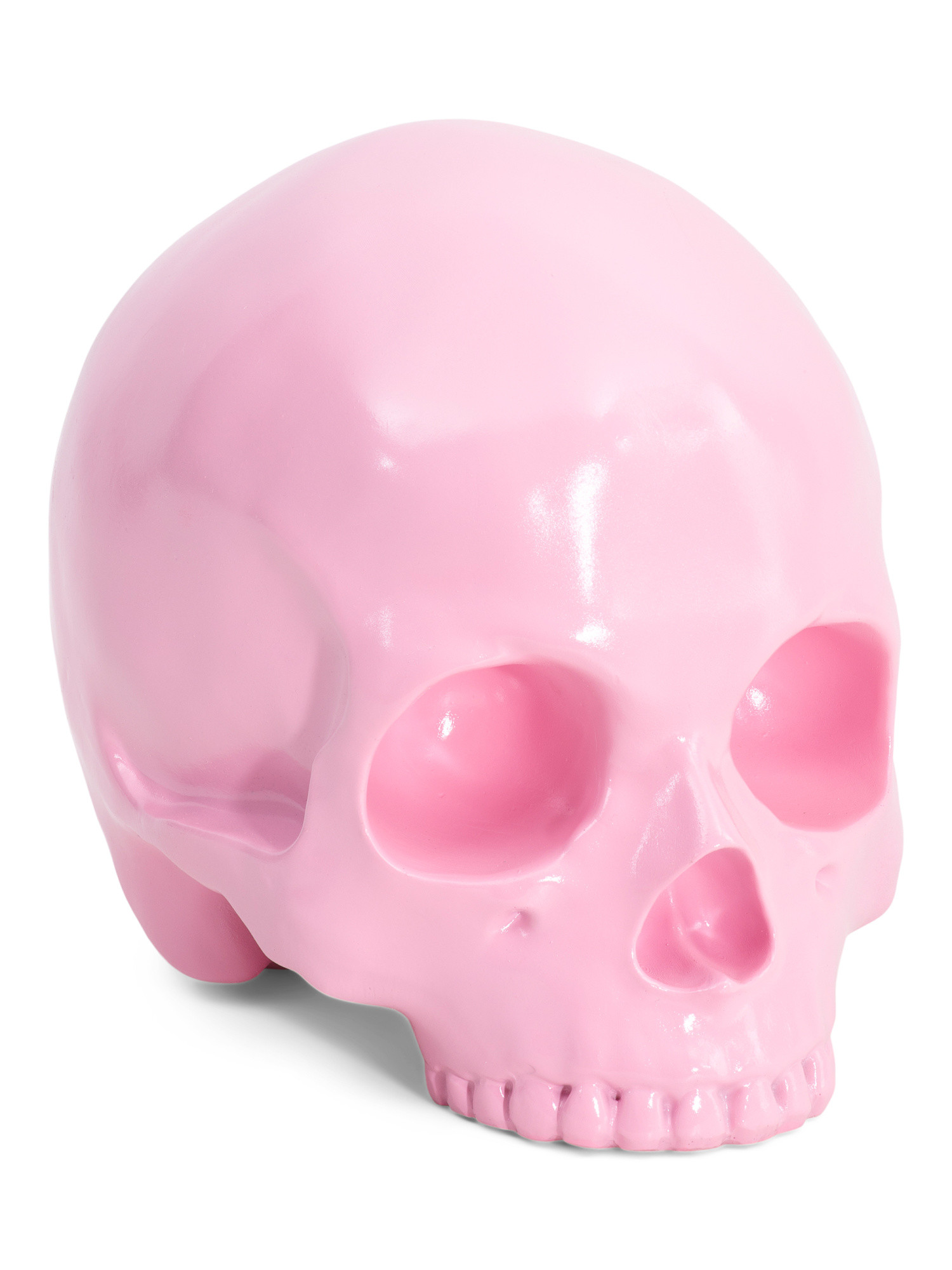 9in Resin Skull | TJ Maxx