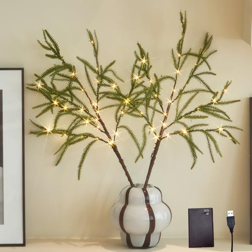 LITBLOOM Lighted Norfolk Pine Branches 60 Fairy Lights with Timer, Tree Branches with Lights 32IN... | Amazon (US)