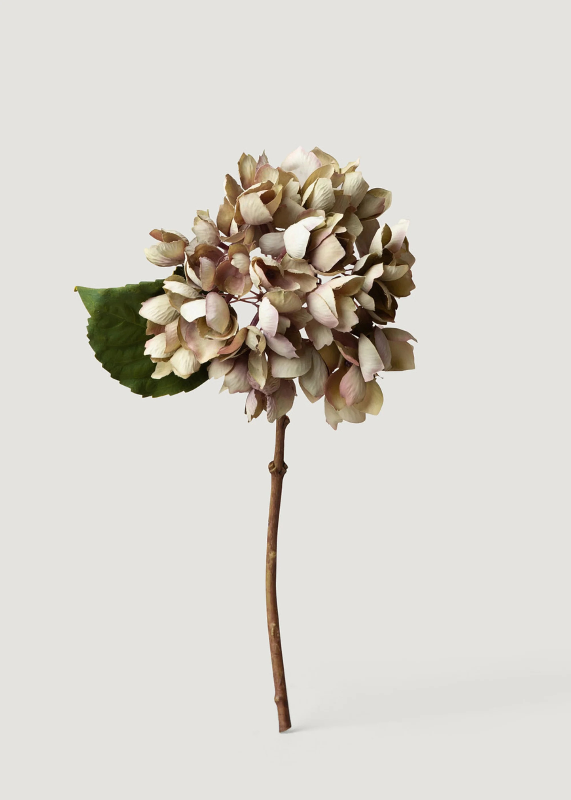 Hydrangea in Vintage Taupe | Dried Look Faux Flowers | Afloral | Afloral