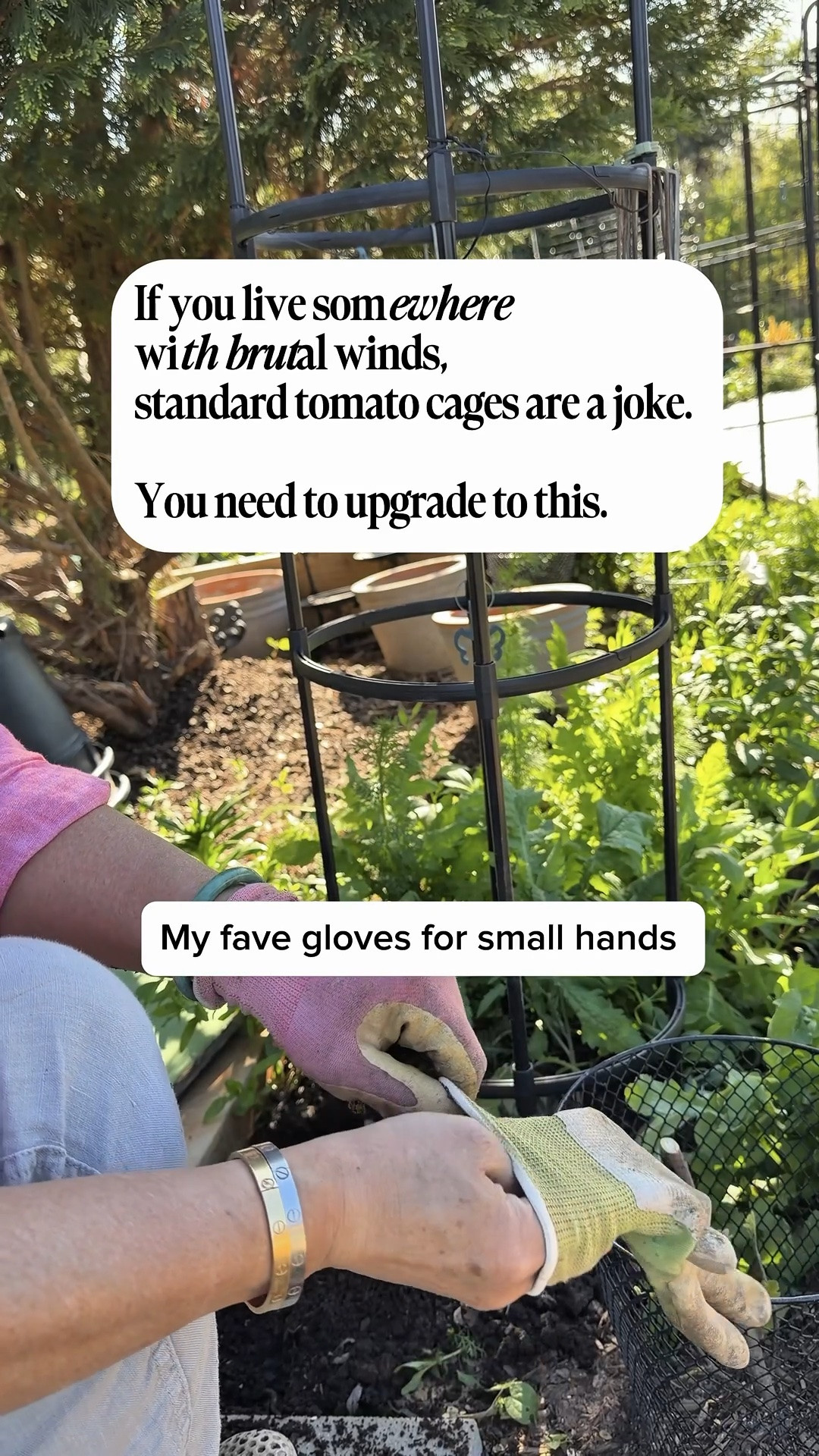 My Secrets to a Successful Tomato Season.  You’ll find tools, supplies, and ingredients for growing delicious tomatoes.

Oklahoma wind is no joke, and standard tomato cages just don't cut it when those heavy heirlooms start producing! 

I've been using these garden obelisks for seasons now, and they are a total game-changer. They look stunning, they don't budge, and you can get a pack of TWO for under $30 on Amazon.
How are you supporting your indeterminate tomatoes this year?
Let me know below! 

#GardeningHacks #TomatoSupport #GardenInspiration #BackyardGardening
#OklahomaGardening #ChicMamas

#LTKvlog #LTKOver40 #LTKSaleAlert