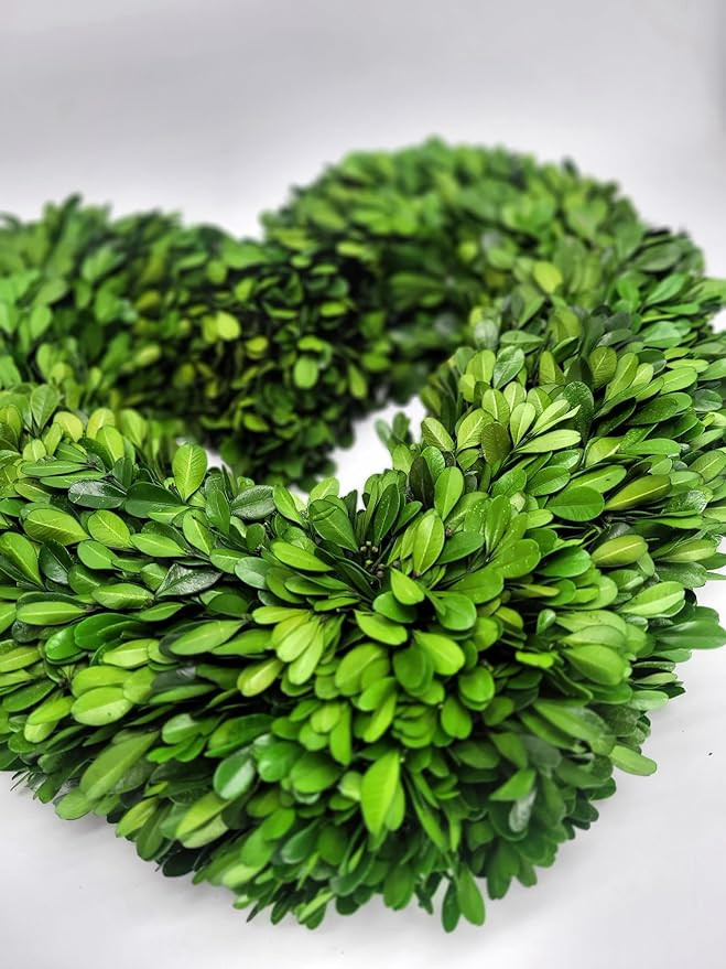 Preserved Boxwood Heart Wreath 16 in | Amazon (US)