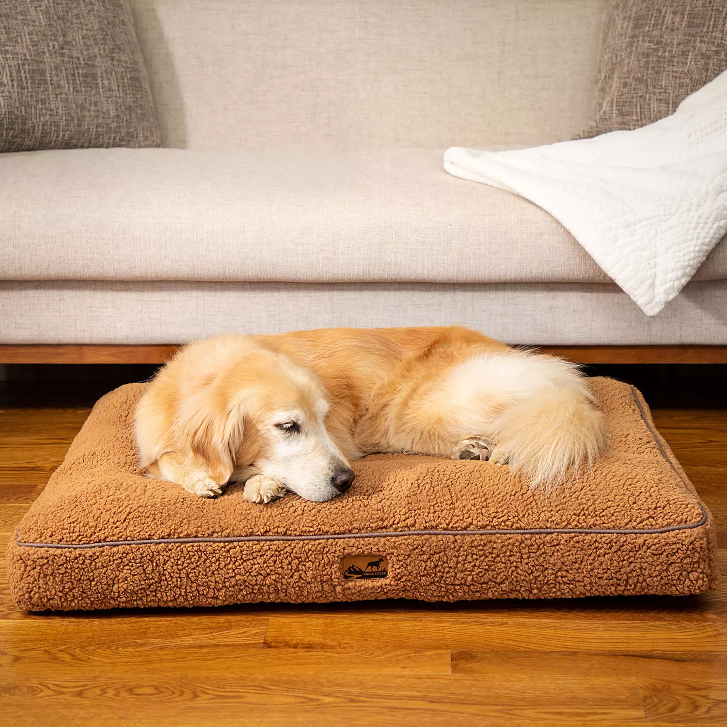Ridge Creek Plush Lounger Pet Bed, 27" x 36" (Choose Color) | Sam's Club