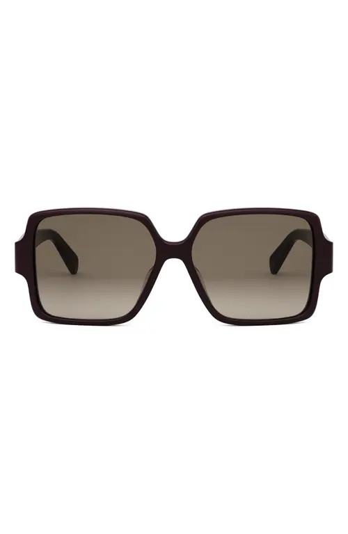 CELINE Triomphe 60mm Square Sunglasses in Shiny Bordeaux /Gradient at Nordstrom | Nordstrom