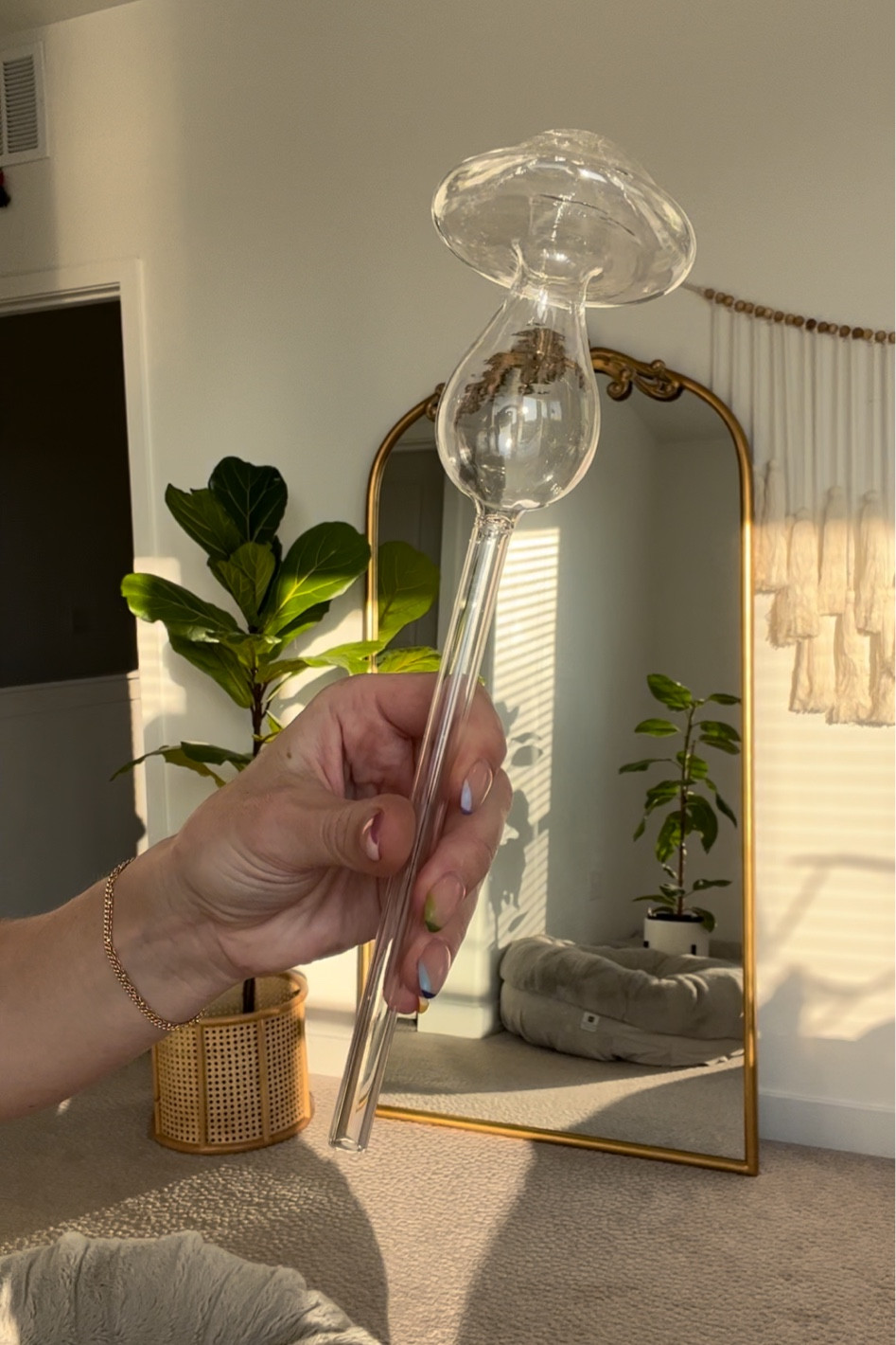 Mushroom 🍄 watering globes 

#LTKSale #LTKunder50 #LTKhome