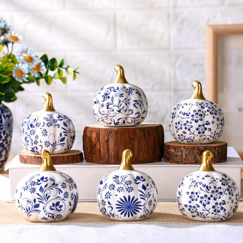 DoubleFill 6 Pcs Blue and White Ceramic Pumpkins Classic Fall Table Decor | Amazon (US)