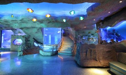 Two or Four All Day Aquarium Adventure Passes with Gift Card from Downtown Aquarium  (Up to 27% O... | Groupon North America