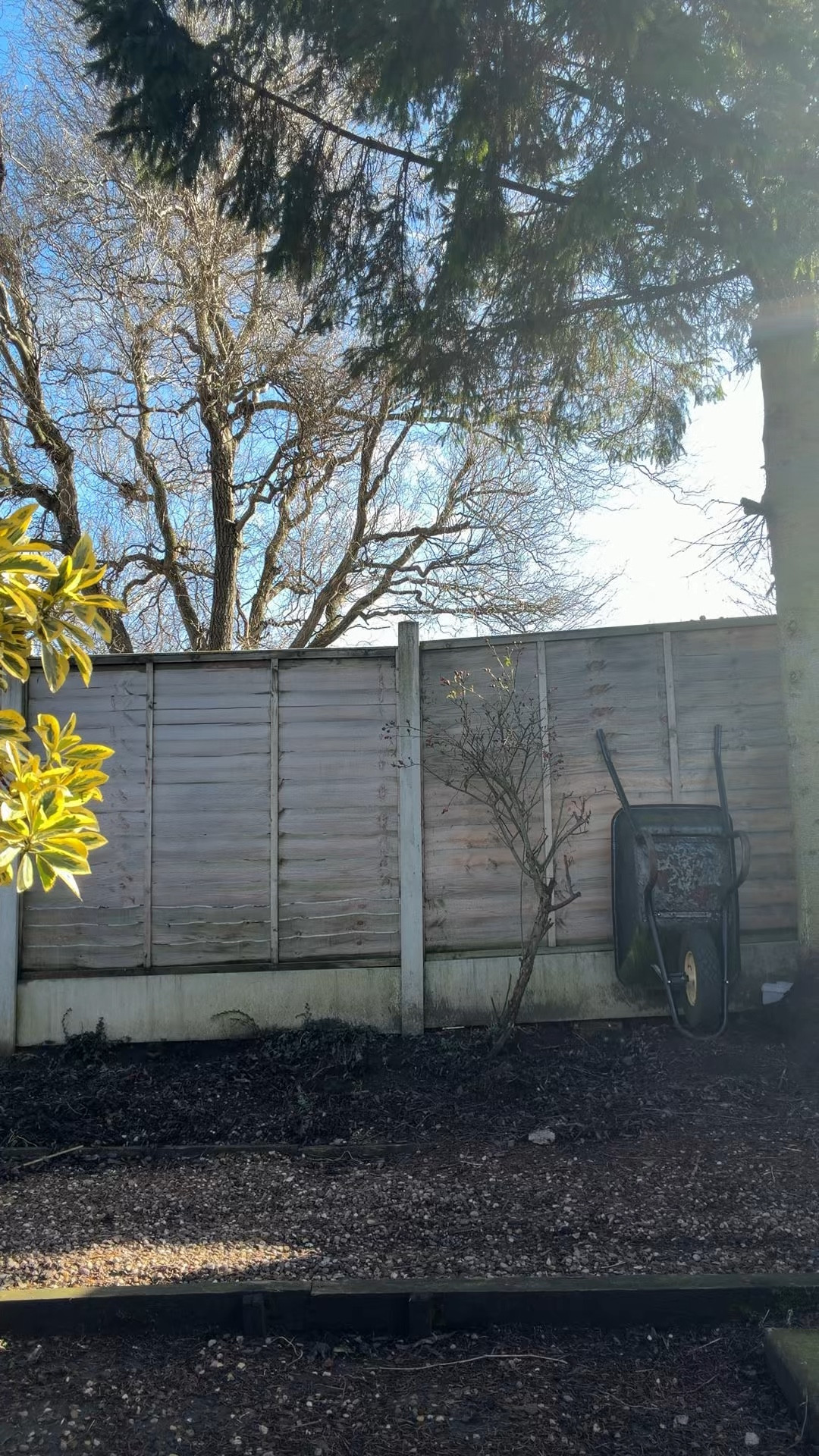 Sunday morning in the garden 🤌🏻



#LTKOver40 #LTKootd #LTKdayinmylife