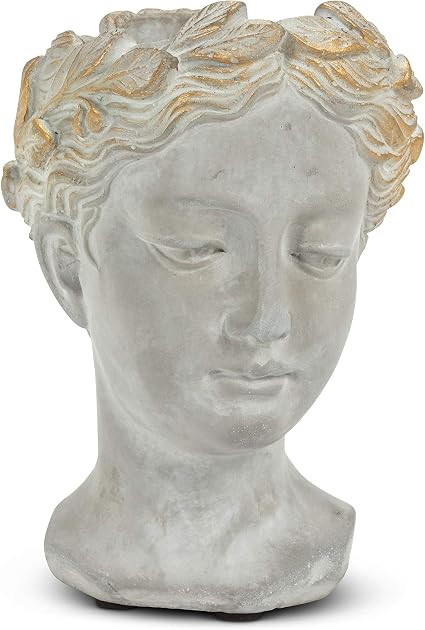 Abbott Collection Aphrodite Head Planter – Small Indoor and Outdoor Planter Pots - Whimsical Wo... | Amazon (US)