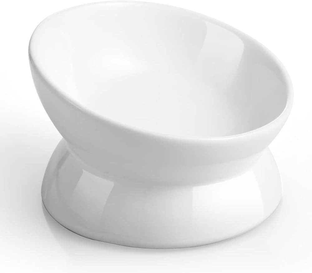 LoeJan Elevated Cat Food Bowl, 5 Oz Ceramic Raised and Tilted Water Bowl, Anti Vomiting and Prote... | Amazon (US)