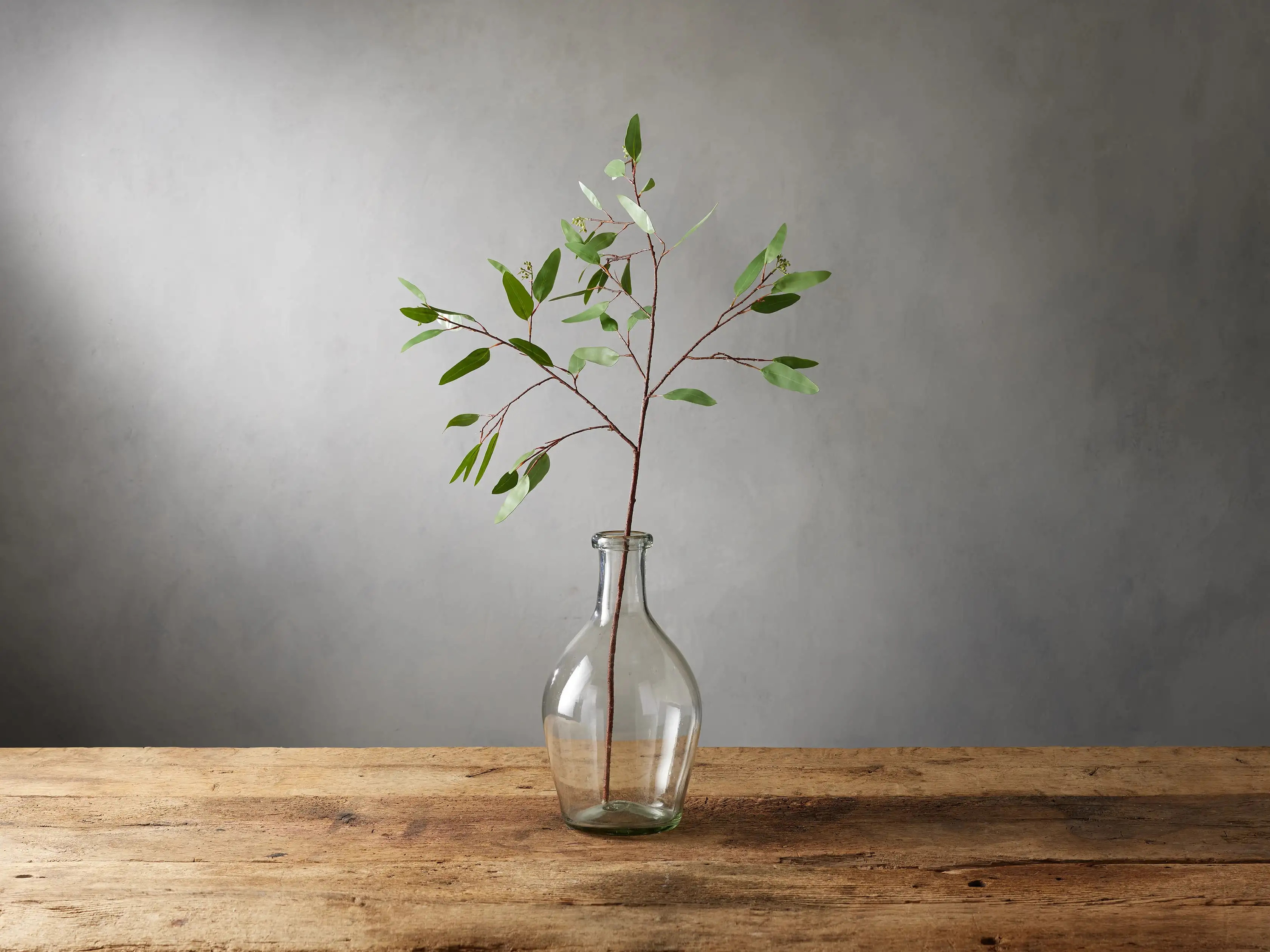 Faux Seeded Eucalyptus Stem | Arhaus