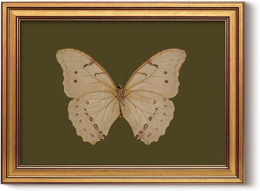 InSimSea Gold Framed Canvas Prints Wall Art, Vintage Butterfly Bathroom Decor, Classical Moody Pa... | Amazon (US)