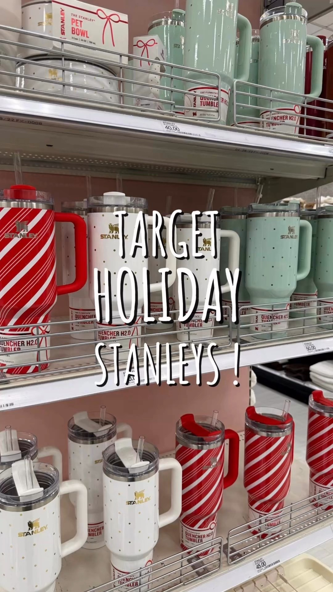 TARGET HOLIDAY STANLEYS !
sippin' through the holidays with stanley's cups i found @ target. the cutest cups for the cheeriest season. i love the designs and the festive feels it gives.

#LTKSeasonal #LTKSaleAlert #LTKHoliday