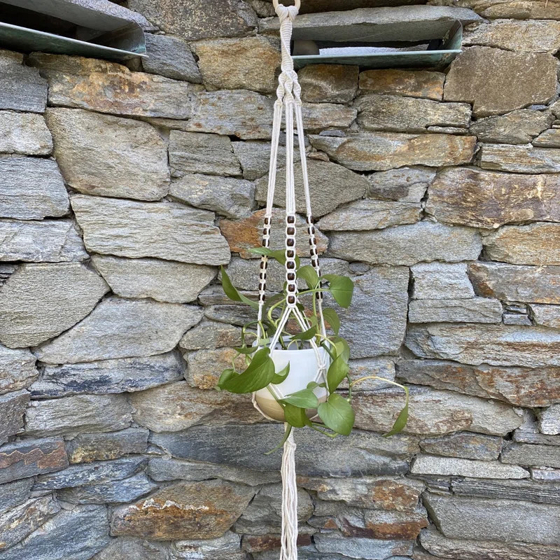 Dakota Fields Danberry Cotton Plant Hanger & Reviews | Wayfair | Wayfair North America