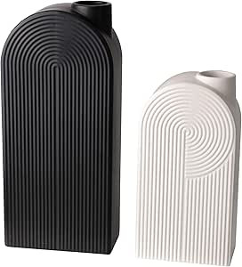 TERESA'S COLLECTIONS Ceramic Modern Vase Set of 2, Black and White Geometric Decorative Vases for... | Amazon (US)