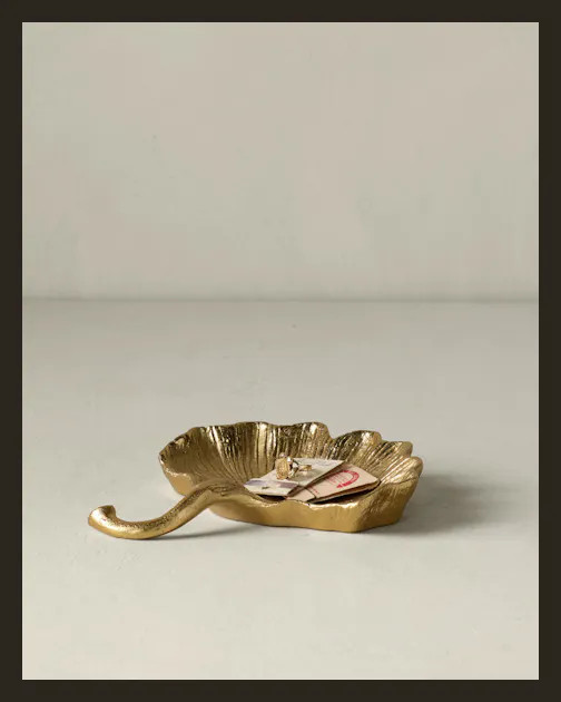 Pia Catchall | Joon Loloi | Joon Loloi