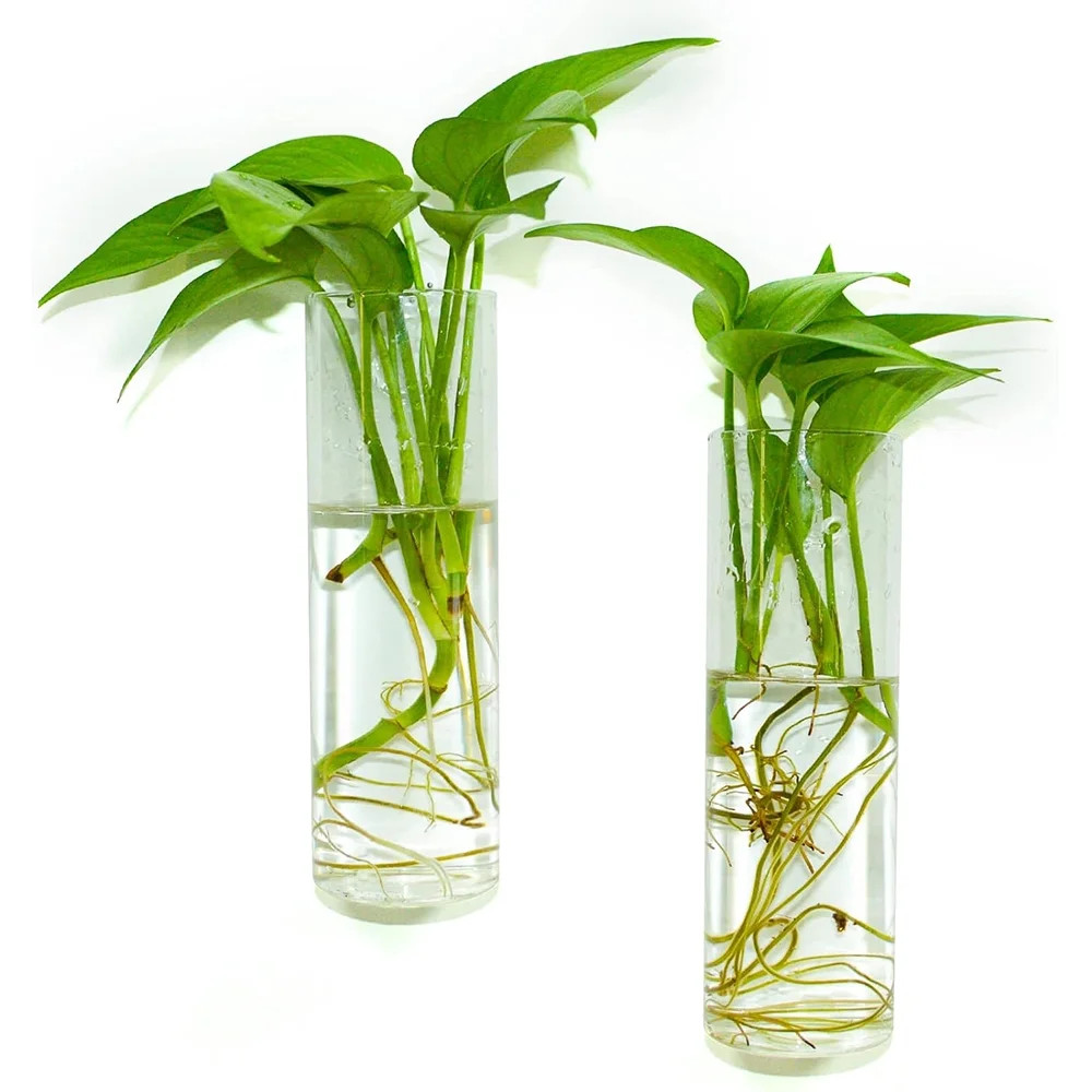 2pcs Wall Hanging Plant Propagation Stations, Glass Terrarium Container, Rectangular Vase for Hyd... | Walmart (US)