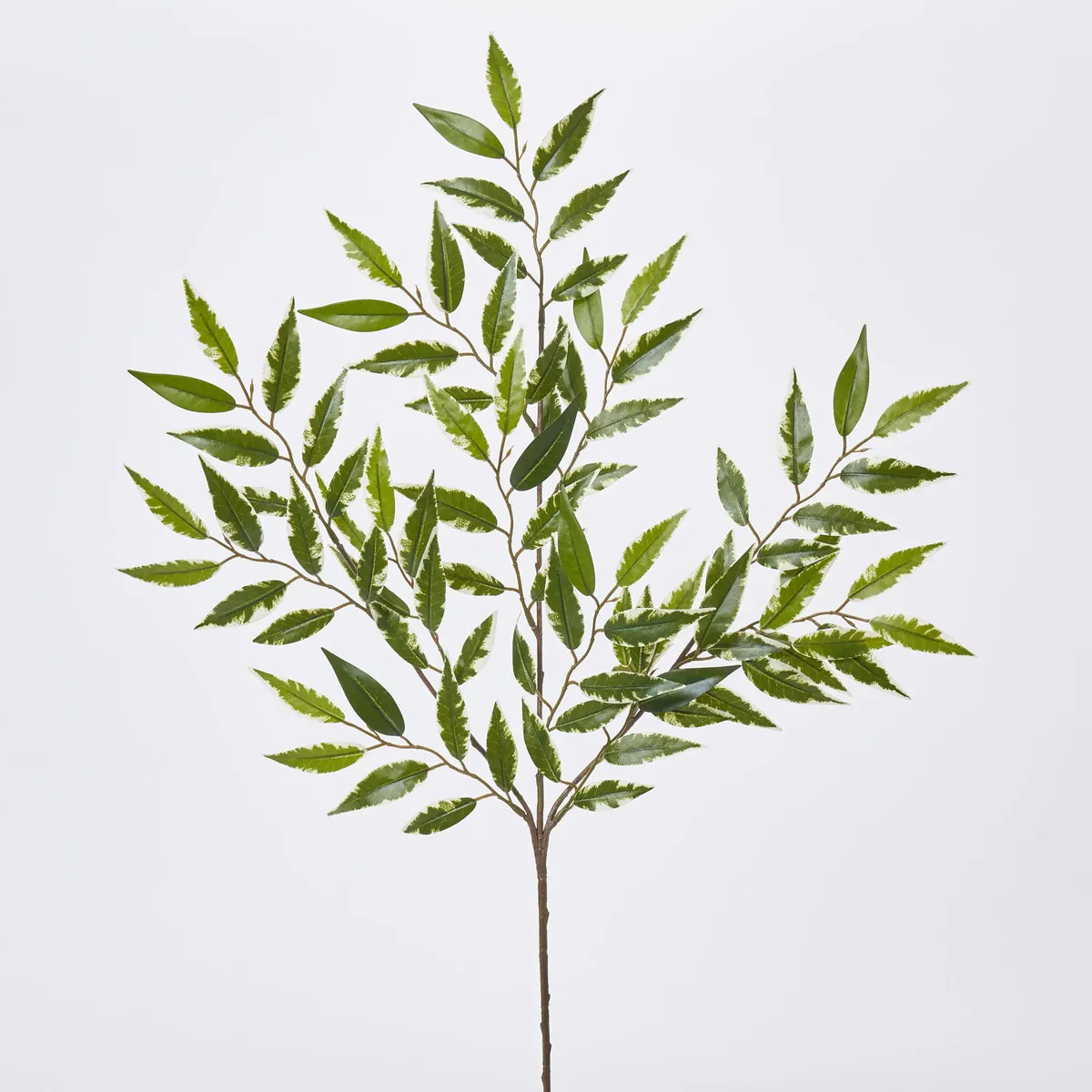 Variegated Green All Season Smilax Leaf Branch Everyday Faux Greenery Spray -19" | Darby Creek Trading