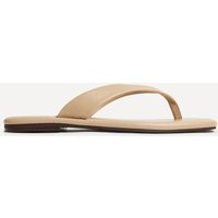 Linzi Women's Element Taupe Toe Post Flat Sandals | Size: 6-Standard Fit | Debenhams UK