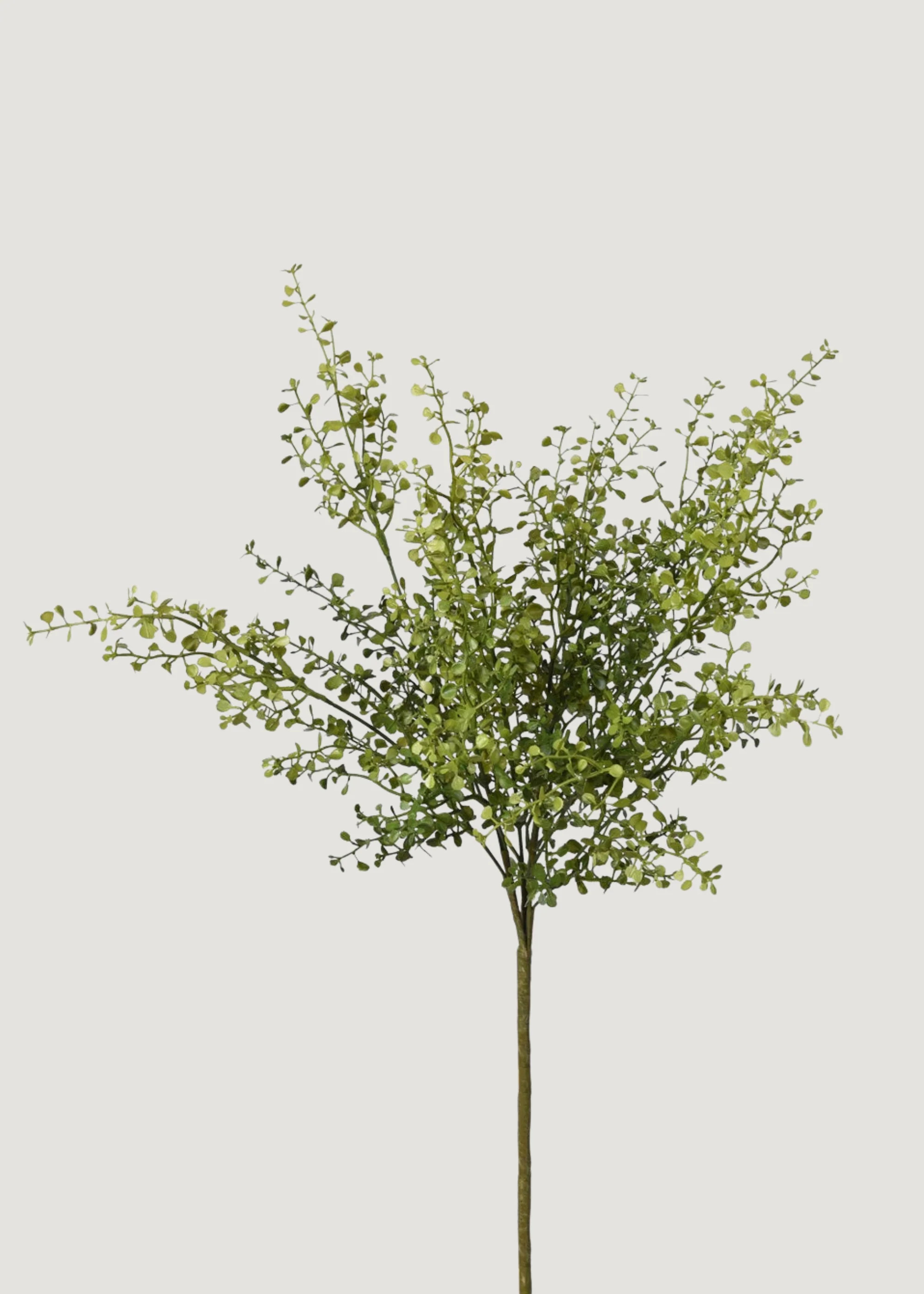 Green Angel Vine Bush | Lifelike Fake Plants at Afloral | Afloral